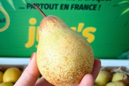 livraison corbeilles de fruits frais et sec au bureau et en entreprise partout en france - pommes raisins