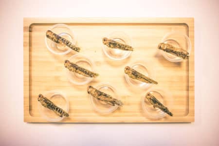 plateaux de criquets comestibles