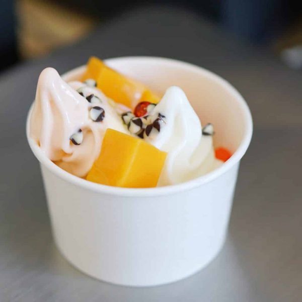 animation frozen yogurt entreprise