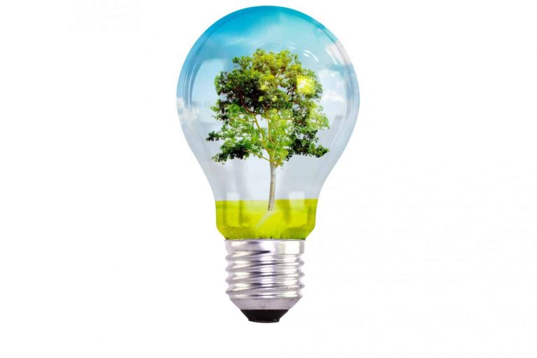 Une animation Eco Responsable