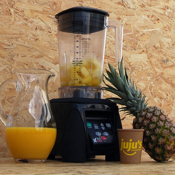 blender ananas