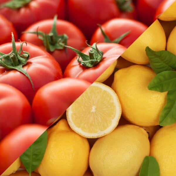 tofino (canada) tomate | citron