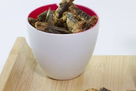 sauterelles grillées