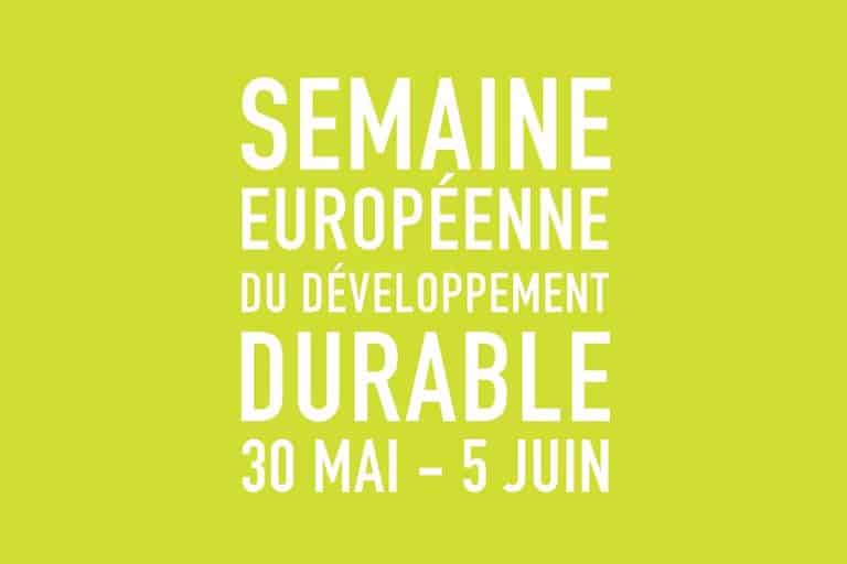 logo SEDD 2019