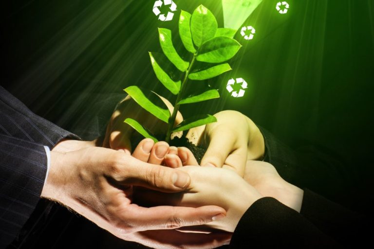 Les entreprises souhaite réussir leur transition écologique
