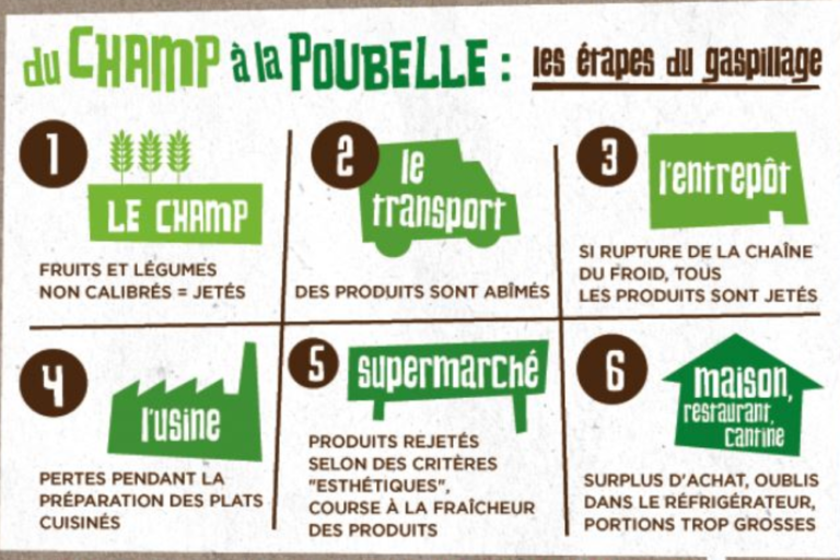 Les étapes du gaspillage alimentaire du champs à la poubelle