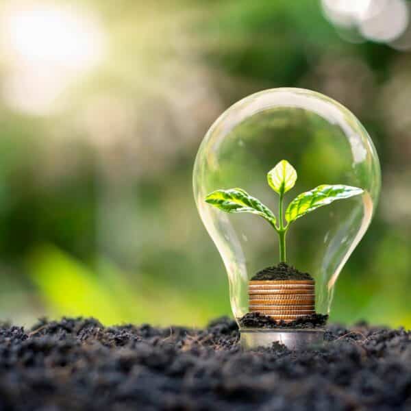 Animations 100% développement durable