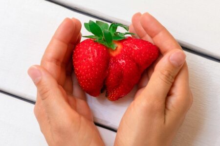 Animation Smoothies fruits et légumes moches