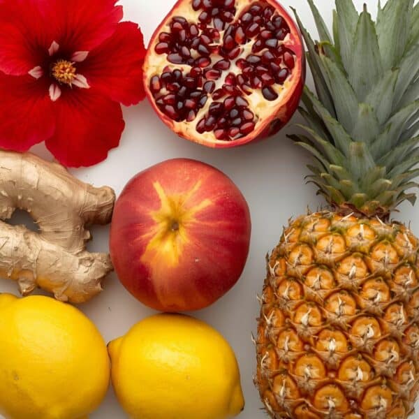 Animation Bar à kombucha et kéfir